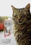 Kedi: gatos de Estambul